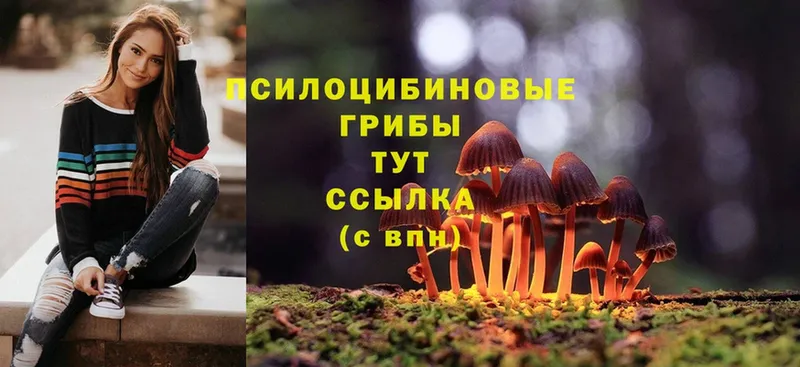 Псилоцибиновые грибы MAGIC MUSHROOMS  Любань 